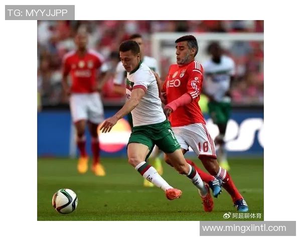 欧冠精彩对决本菲卡迎战拜仁全力争胜展现足球魅力