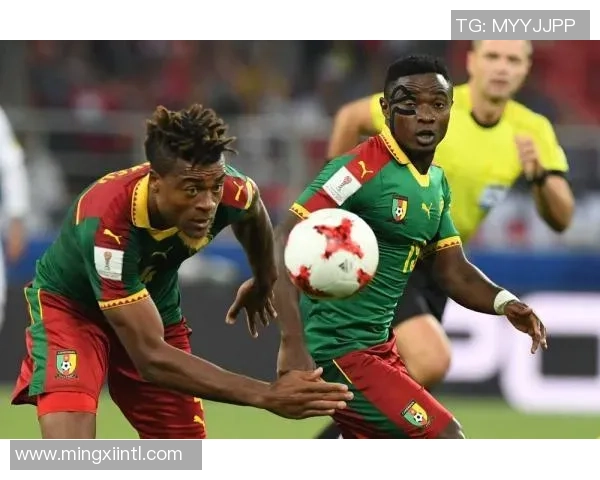 美国与喀麦隆精彩对决直播平台推荐及赛事分析