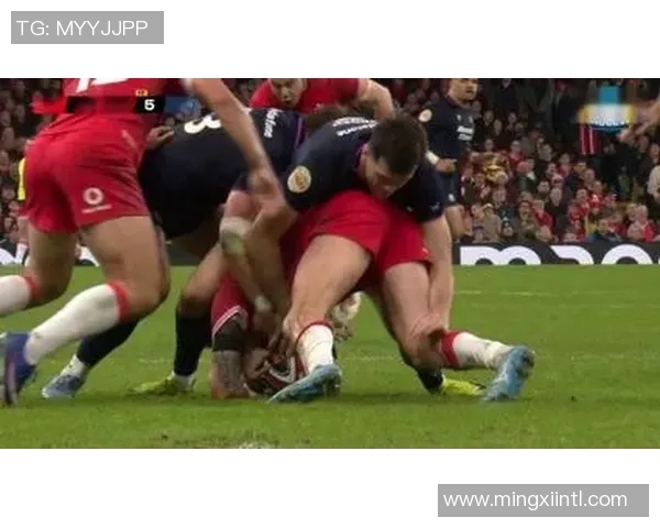 日本橄榄球队对决苏格兰展现激烈竞争与精彩瞬间