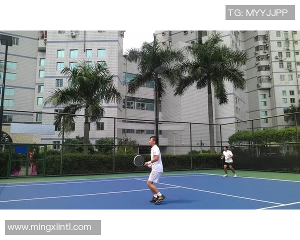 深圳网球队在全国网球战术排行榜中荣获第七名的辉煌成就分析